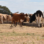 Adaptable Farm Systems Case Study
